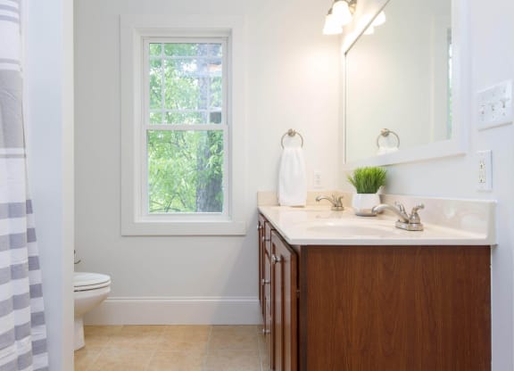 a bathroom with a sink and a toilet and a window
