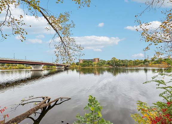 A serene lake with a bridge in the background and autumn leaves in the foreground.