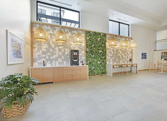 A room with a green plant on the wall and a wooden cabinet.