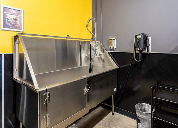 a stainless steel sink in a kitchen with a phone