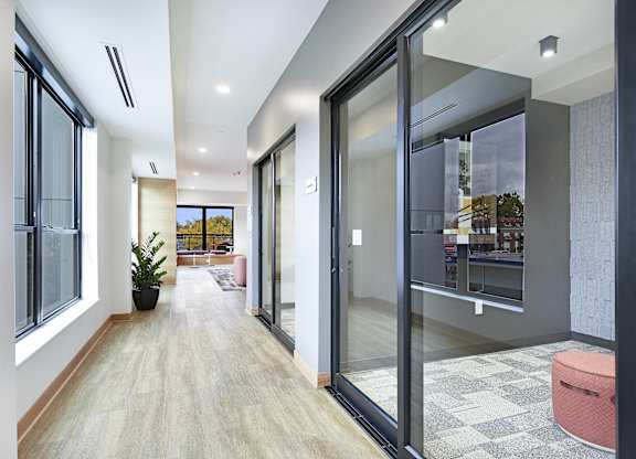 A long hallway with a plant in a black pot.