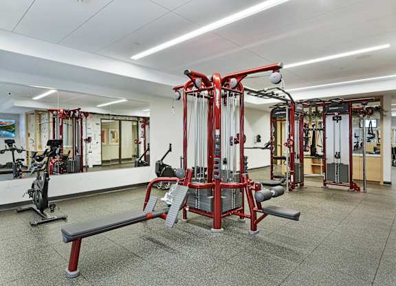 A gym with a variety of equipment including a squat rack and a bench.