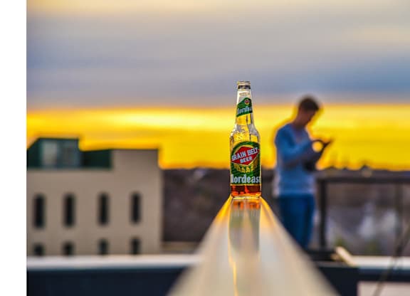 a bottle of beer sitting on top of a roof