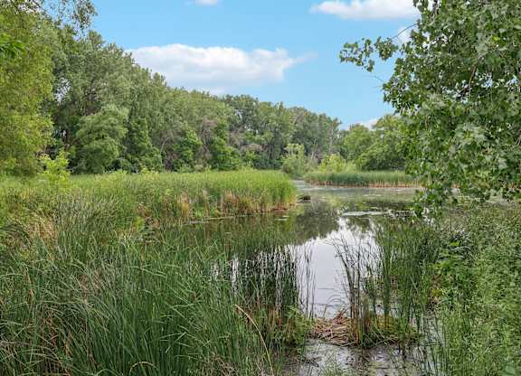 A serene landscape with a body of water surrounded by lush greenery.