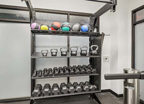 A gym with a rack of weights and dumbbells.