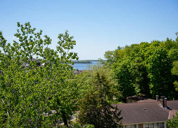 A house with a brown roof is surrounded by trees.