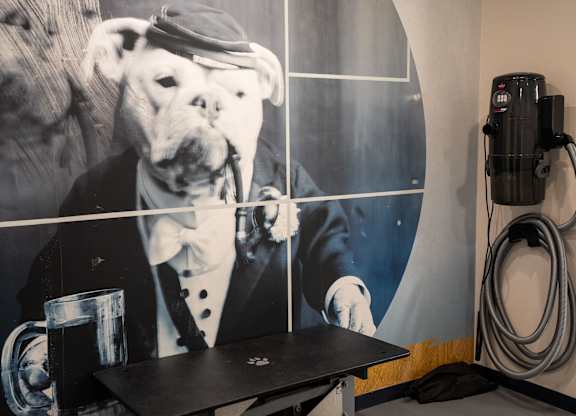 A black and white photo of a bulldog in a suit is on the wall.