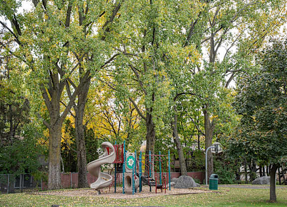 A playground with a slide and swings surrounded by trees.