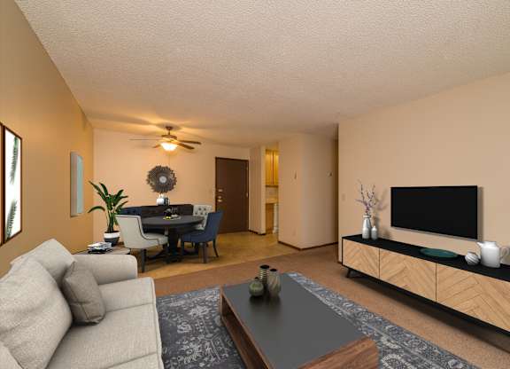 A living room with a couch, a coffee table, and a television.