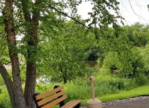 A wooden bench sits in front of a green bush.