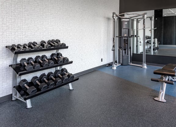 a rack of dumbbells in a gym with a dumbbell tower and a