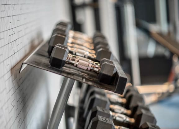 a row of weights on a rack in a gym