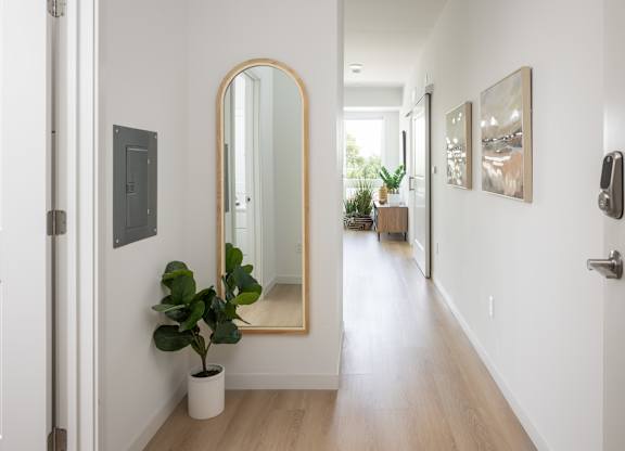 A hallway with a mirror and a plant.