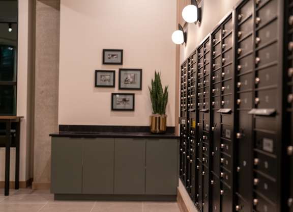 A black cabinet with silver handles is next to a grey counter with a potted plant on it.