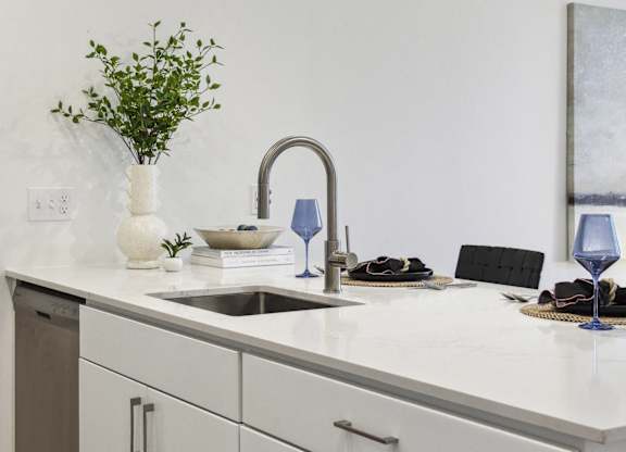 A kitchen with white cabinets and a plant on the counter.