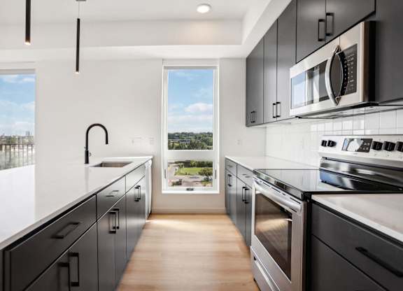 A modern kitchen with black cabinets and stainless steel appliances.
