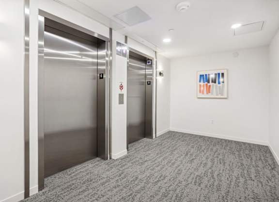 Two stainless steel elevators in a hallway with a carpeted floor.