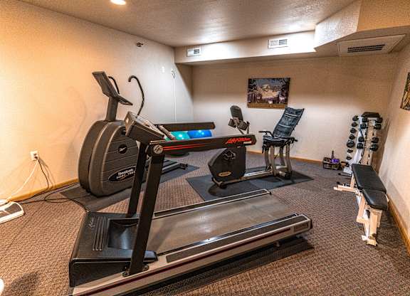 A treadmill is in the middle of a room with a bench and weights.