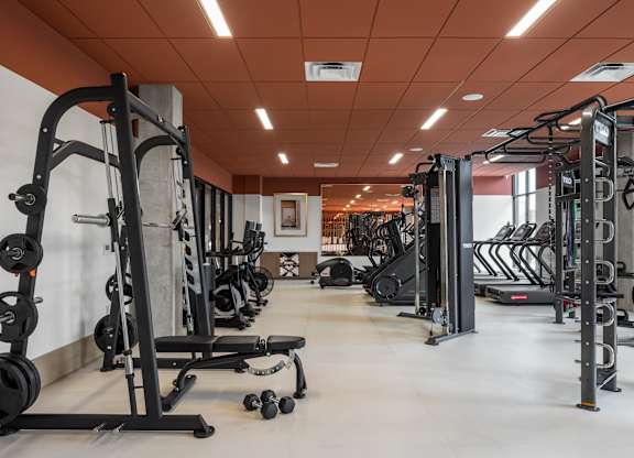 A gym with a variety of equipment including dumbbells, weight machines, and a bench press.