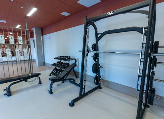 A gym with a squat rack, bench, and weight stacks.