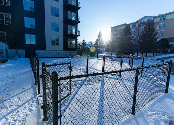 A snow-covered ground with a black fence and a building in the background.