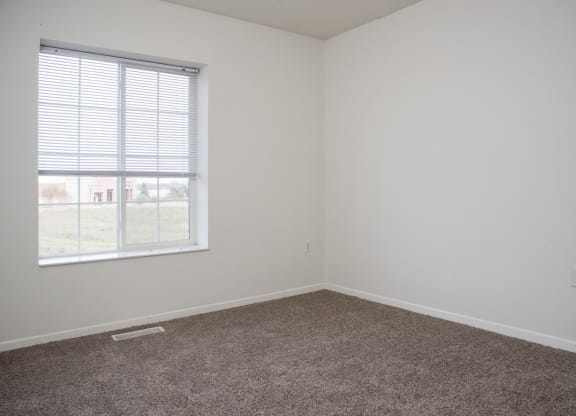 an empty room with carpet and a window