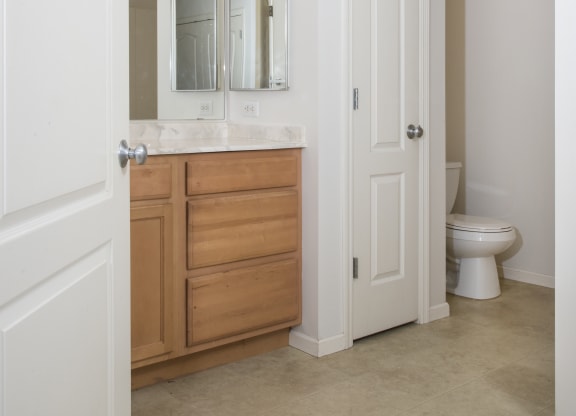 a bathroom with a toilet and a sink and a mirror