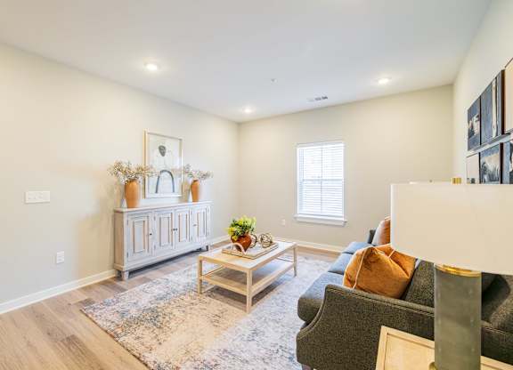 A living room with a grey sofa, a wooden coffee table, and a rug.