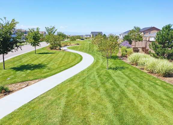 a sidewalk running through a grassy area with trees and houses