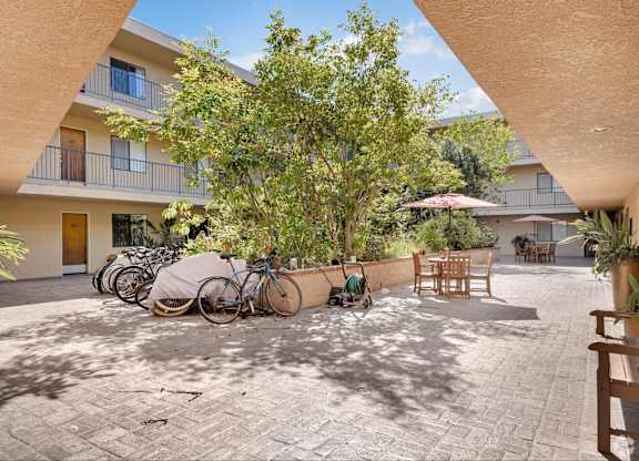 A courtyard with a tree, a bicycle and a bench.