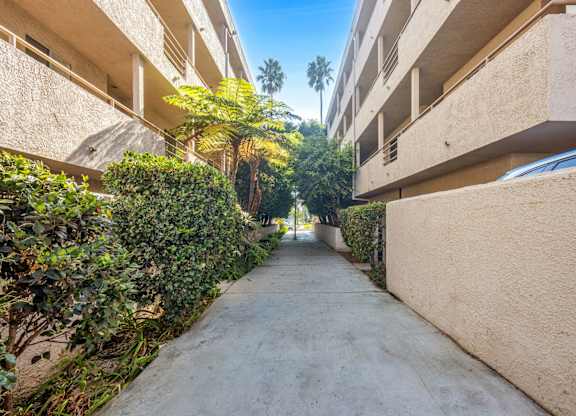 A concrete pathway leads through a green, leafy area between two buildings.