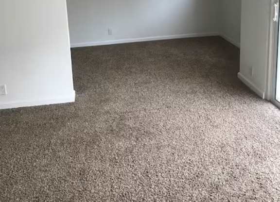 A room with a ceiling fan and carpeted floor.