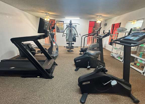 A room with a row of treadmills and elliptical machines.