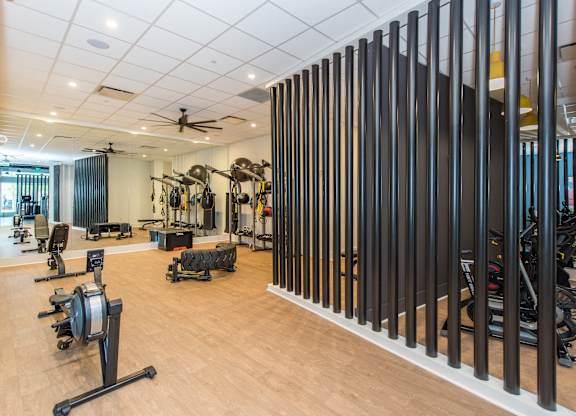 the gym is equipped with a variety of exercise machines and weights