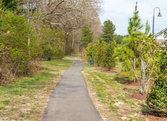 a path in a park with trees on both sides of the path at The Whitworth, Williamsburg, VA, 23185
