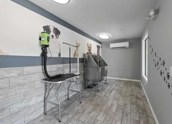 A room with a grey wall and a picture of a dog on it.