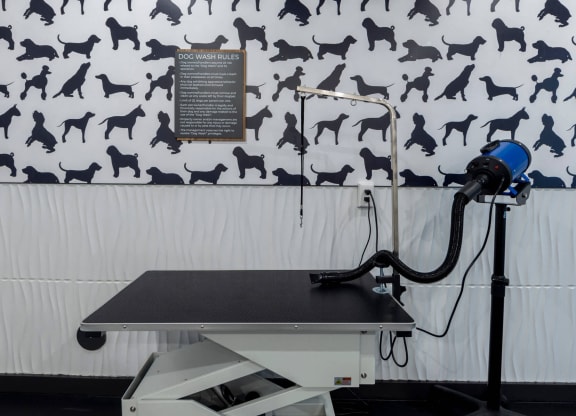 a treadmill with a dog wallpaper in the background at Tapestry West, Richmond