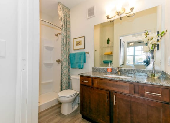 a bathroom with a toilet sink and shower and a mirror at Capstone at Banks Crossing, Commerce