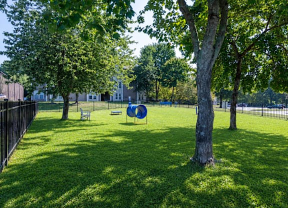 A playground with a blue slide in the middle of a grassy area.