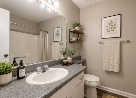 A bathroom with a sink, toilet, and a mirror.