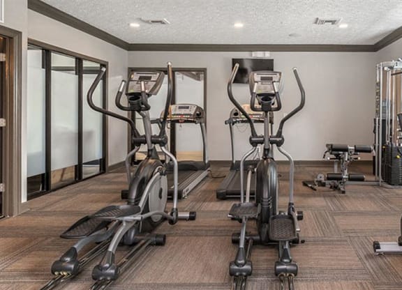 a gym with cardio equipment and weights on the floor at High Ridge Apartments, Georgia, 30606