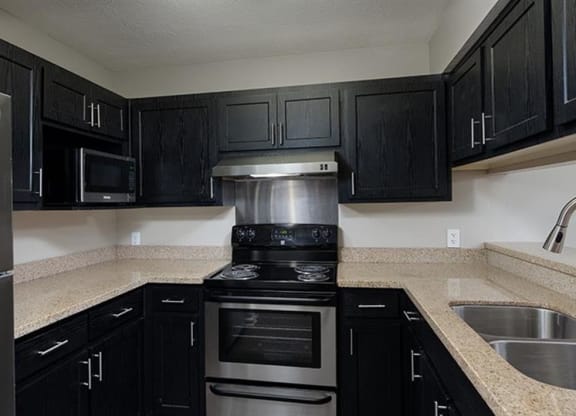 a kitchen with black cabinets and a stove and a sink at High Ridge Apartments, Athens Georgia