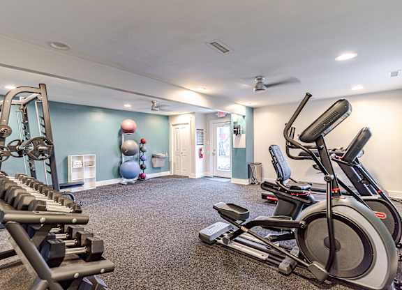 A gym with a row of dumbbells and exercise equipment.