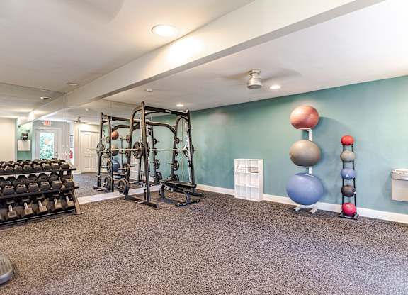 A gym with a variety of equipment including dumbbells, weight plates, and a squat rack.