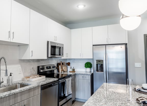 a modern kitchen with granite counter tops and stainless steel appliances at The Louis Apartment Flats, Kentucky, 40241