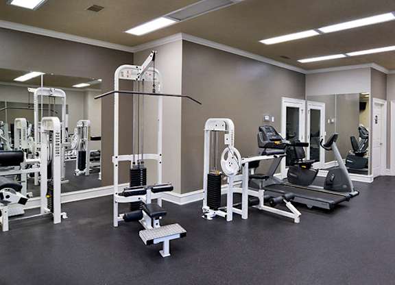 A gym with a variety of equipment including a leg press machine, a chest press machine, a leg curl machine, a leg extension machine, a lat pulldown machine, a seated calf raise machine at Austin Chase