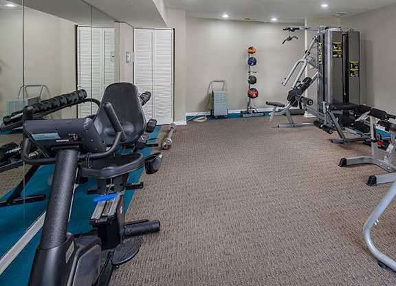A well-equipped gym with various exercise machines and weights.