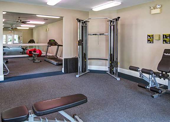 A gym with a variety of equipment including a treadmill, weights, and a bench press.