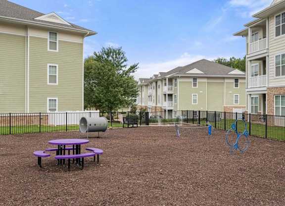 Community playground with climbing equipment and picnic table at Colony at Centerpointe Apartments, Midlothian, VA 23114