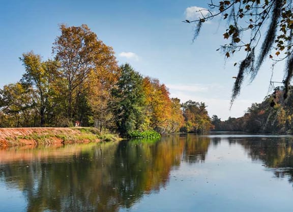 Lake With Lush Natural Surrounding at Residence at Riverwatch, Augusta, Georgia
